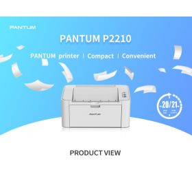 PANTUM P2210 grey Single Function Monochrome Laser Printer Grey, Toner Cartridge image