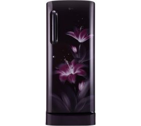 LG 235 L Direct Cool Single Door 4 Star 2020 Refrigerator Purple Glow, GL-D241APGY image