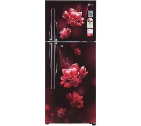 LG 260 L Direct Cool Double Door 2 Star Refrigerator Scarlet Charm, GL-S292RSCY image