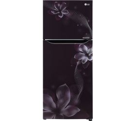 LG 260 L Frost Free Double Door 2 Star 2020 Refrigerator Purple Orchid, GL-N292DPOY image