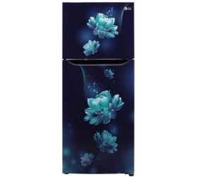 LG 260 L Frost Free Double Door 3 Star 2020 Convertible Refrigerator Blue Charm, GL-T292SBC3 image