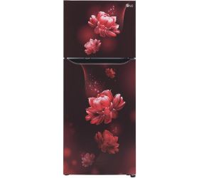 LG 260 L Frost Free Double Door 3 Star 2020 Convertible Refrigerator Scarlet Charm, GL-T292SSC3 image