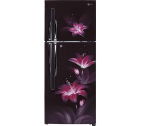 LG 284 L Frost Free Double Door 2 Star 2020 Convertible Refrigerator Purple Glow, GL-T302RPGU image