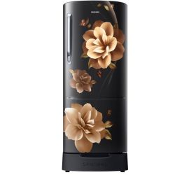 SAMSUNG 183 L Direct Cool Single Door 3 Star Refrigerator Camellia Black, RR20C1823CB image