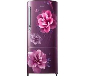 SAMSUNG 184 L Direct Cool Single Door 3 Star Refrigerator Camellia Purple, RR20C2723CR/NL image