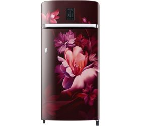 SAMSUNG 184 L Direct Cool Single Door 3 Star Refrigerator Midnight Blossom Red, RR21C2J23RZ/HL image