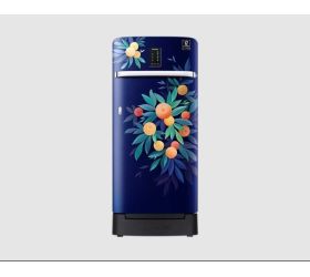 SAMSUNG 189 L Direct Cool Single Door 5 Star Refrigerator with Base Drawer Orange Blossom Blue, RR21C2F25NK/HL image