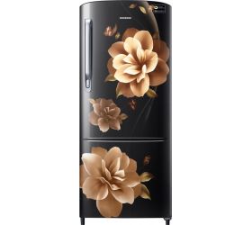 Samsung 192 L Direct Cool Single Door 3 Star 2019 Refrigerator Camellia Black, RR20R172ZCB/HL image