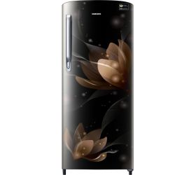 Samsung 192 L Direct Cool Single Door 3 Star 2020 Refrigerator Blooming Saffron Black, RR20T172YB8/HL image