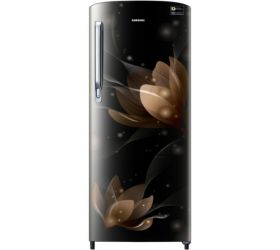 Samsung 192 L Direct Cool Single Door 4 Star 2019 Refrigerator Blooming Saffron Black, RR20N172YB8-HL/RR20N272YB8-NL image