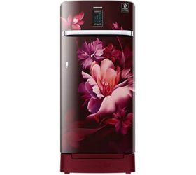 SAMSUNG 192 L Direct Cool Single Door 4 Star Refrigerator with Base Drawer Midnight Blossom Red, RR21A2K2XRZ/HL image