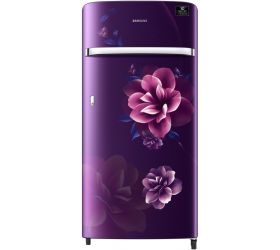 SAMSUNG 198 L Direct Cool Single Door 3 Star Refrigerator Camellia Purple, RR21A2G2YCR/HL image