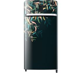 SAMSUNG 198 L Direct Cool Single Door 3 Star Refrigerator DELIGHT TROPICAL, RR21A2E2YTG image