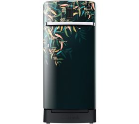 SAMSUNG 198 L Direct Cool Single Door 3 Star Refrigerator with Base Drawer Delight Tropical, RR21A2F2YTG/HL image