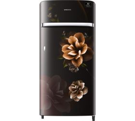 Samsung 198 L Direct Cool Single Door 4 Star 2020 Refrigerator Camellia Black, RR21T2G2XCB/HL image