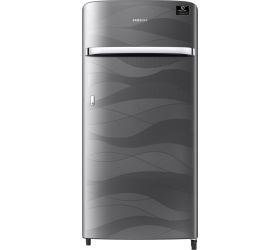 Samsung 198 L Direct Cool Single Door 4 Star 2020 Refrigerator Inox Wave, RR21T2G2XNV/HL image