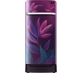 Samsung 198 L Direct Cool Single Door 4 Star 2020 Refrigerator with Base Drawer Paradise Purple, RR21T2H2X9R/HL image