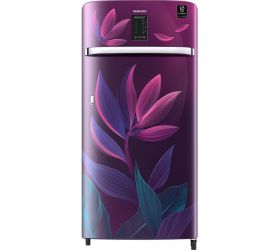 SAMSUNG 198 L Direct Cool Single Door 4 Star Refrigerator Paradise Purple, RR21A2E2X9R/HL image