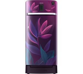 SAMSUNG 198 L Direct Cool Single Door 4 Star Refrigerator Paradise Purple, RR21A2F2X9R/HL image