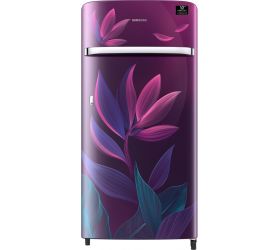 SAMSUNG 198 L Direct Cool Single Door 4 Star Refrigerator Paradise Purple, RR21T2G2X9R/HL image