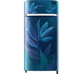 Samsung 198 L Direct Cool Single Door 5 Star 2020 Refrigerator Paradise Blue, RR21T2G2W9U/HL image