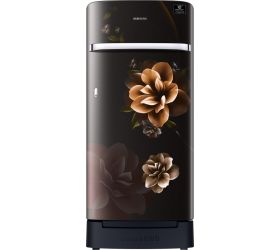 Samsung 198 L Direct Cool Single Door 5 Star 2020 Refrigerator with Base Drawer Camellia Black, RR21T2H2WCB/HL image