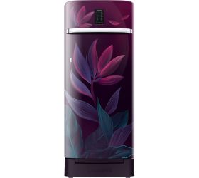 SAMSUNG 215 L Direct Cool Single Door 5 Star Refrigerator Paradise Bloom Purple, RR23C2F359R/HL image