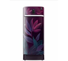 SAMSUNG 215 L Direct Cool Single Door 5 Star Refrigerator with Base Drawer Paradise Bloom Purple, RR23C2F359R/HL image