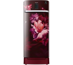 SAMSUNG 220 L Direct Cool Single Door 4 Star Refrigerator Midnight Blossom Red, RR23A2K3XRZ/HL image