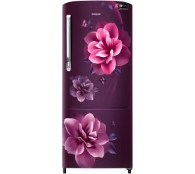 SAMSUNG 223 L Direct Cool Single Door 3 Star Refrigerator Camellia Purple, RR24C2723CR/NL image