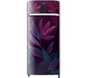 SAMSUNG 225 L Direct Cool Single Door 3 Star Refrigerator Paradise Purple, RR23A2E2Y9R/HL image