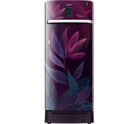 SAMSUNG 225 L Direct Cool Single Door 3 Star Refrigerator Paradise Purple, RR23A2F2Y9R/HL image