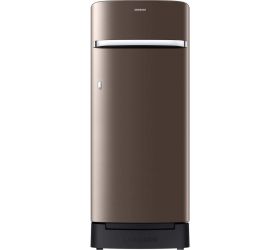 SAMSUNG 225 L Direct Cool Single Door 4 Star Refrigerator with Base Drawer Luxe Brown, RR23B2H2XDX/HL image