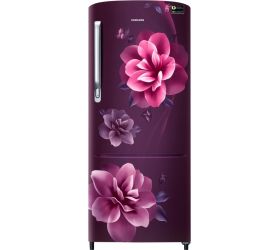 Samsung 230 L Direct Cool Single Door 3 Star 2020 Refrigerator Camellia Purple, RR24T275YCR/NL image
