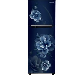 SAMSUNG 236 L Frost Free Double Door 2 Star Refrigerator Camellia Blue, RT28C3022CU/NL image
