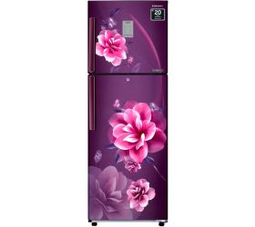 SAMSUNG 236 L Frost Free Double Door 2 Star Refrigerator Camellia Purple, RT28C3922CR/HL image