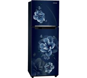 SAMSUNG 236 L Frost Free Double Door Top Mount 2 Star Refrigerator Camellia Blue, RT28C3022CU/HL image