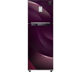 SAMSUNG 243 L Frost Free Double Door 3 Star Convertible Refrigerator Rythmic Twirl Plum, RT30A3A234R/HL image