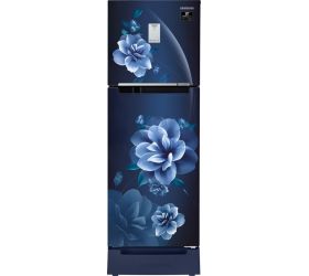 SAMSUNG 244 L Frost Free Double Door 2 Star Refrigerator Camellia Blue, RT28A3C22CU/HL image