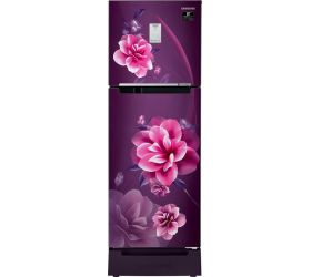 SAMSUNG 244 L Frost Free Double Door 2 Star Refrigerator Camellia Purple, RT28A3C22CR/HL image