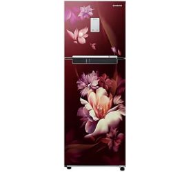 SAMSUNG 244 L Frost Free Double Door 2 Star Refrigerator Midnight blossom red, RT28B3522RZ image
