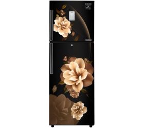 Samsung 253 L Frost Free Double Door 2 Star 2020 Convertible Refrigerator Camellia Black, RT28T3932CB image