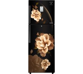 Samsung 253 L Frost Free Double Door 2 Star 2020 Convertible Refrigerator Camellia Black, RT28T3932CB/HL image