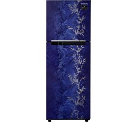 Samsung 253 L Frost Free Double Door 2 Star 2020 Refrigerator Mystic Overlay Blue, RT28T30226U/NL image