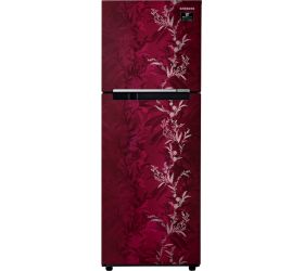 Samsung 253 L Frost Free Double Door 2 Star 2020 Refrigerator Mystic Overlay Red, RT28T30226R/NL image
