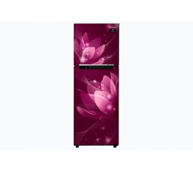 Samsung 253 L Frost Free Double Door 2 Star 2020 Refrigerator Saffron Red, RT28T3032R8/NL image