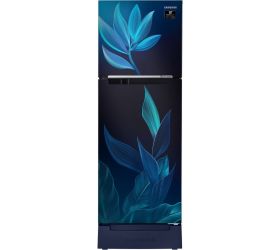 Samsung 253 L Frost Free Double Door 2 Star 2020 Refrigerator with Base Drawer Paradise Blue, RT28T31429U/HL image