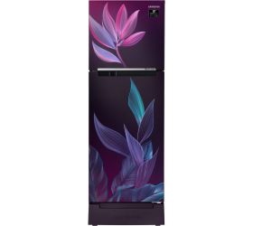 Samsung 253 L Frost Free Double Door 2 Star 2020 Refrigerator with Base Drawer Paradise Purple, RT28T31429R/HL image