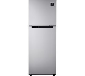 SAMSUNG 253 L Frost Free Double Door 2 Star Refrigerator Electric Silver, RT28T3022SE/NL image