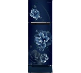 SAMSUNG 253 L Frost Free Double Door 2 Star Refrigerator with Base Drawer Camellia Blue, RT28B3122CU/HL image